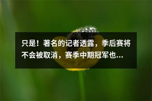 只是！著名的记者透露，季后赛将不会被取消，赛季中期冠军也将到来。