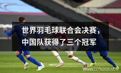 世界羽毛球联合会决赛，中国队获得了三个冠军