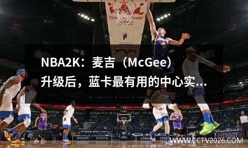 NBA2K：麦吉（McGee）升级后，蓝卡最有用的中心实际上是CBA球员Lee Muhao
