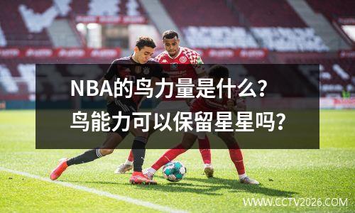 NBA的鸟力量是什么？鸟能力可以保留星星吗？
