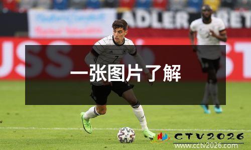 一张图片了解