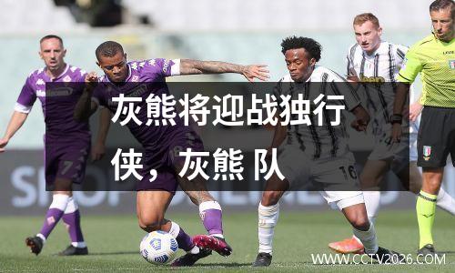 灰熊将迎战独行侠，灰熊 队