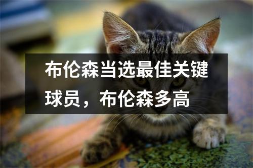 布伦森当选最佳关键球员，布伦森多高