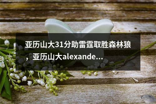 亚历山大31分助雷霆取胜森林狼，亚历山大alexander