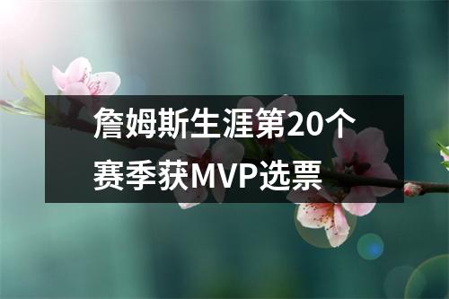詹姆斯生涯第20个赛季获MVP选票