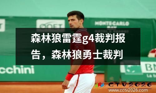 森林狼雷霆g4裁判报告，森林狼勇士裁判