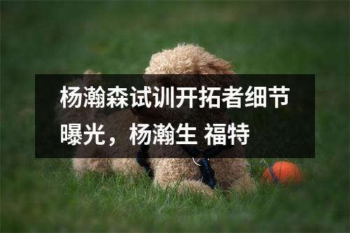 杨瀚森试训开拓者细节曝光，杨瀚生 福特