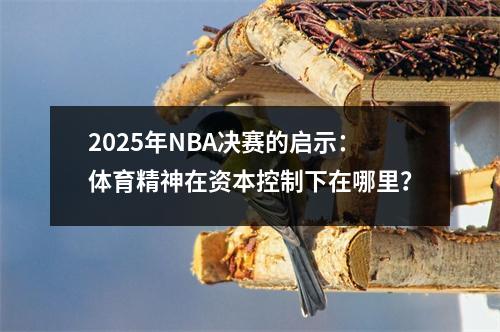 2025年NBA决赛的启示：体育精神在资本控制下在哪里？