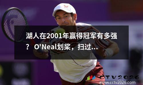 湖人在2001年赢得冠军有多强？ O'Neal划桨，扫过西部11：0，并在前4：1的顶部顶上