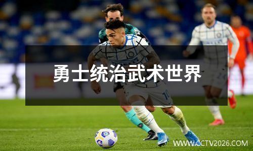 勇士统治武术世界