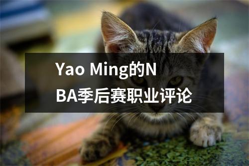 Yao Ming的NBA季后赛职业评论