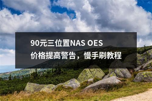 90元三位置NAS OES价格提高警告，慢手刷教程