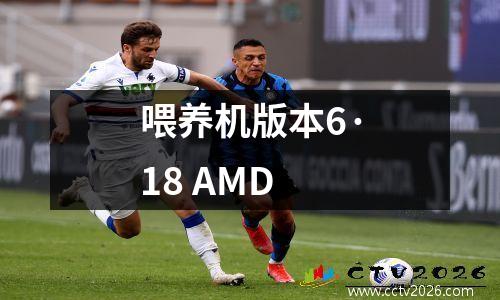 喂养机版本6·18 AMD