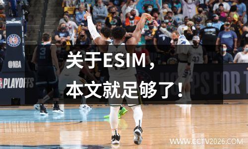 关于ESIM，本文就足够了！