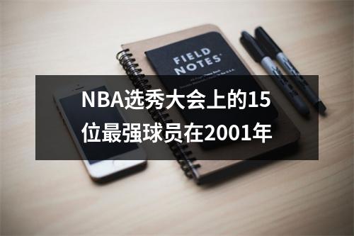 NBA选秀大会上的15位最强球员在2001年