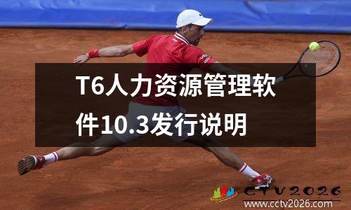 T6人力资源管理软件10.3发行说明