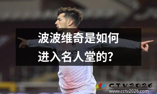 波波维奇是如何进入名人堂的？