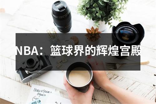 NBA：篮球界的辉煌宫殿