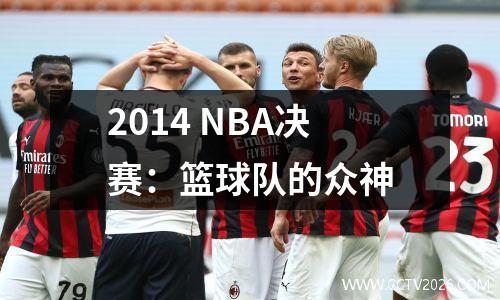 2014 NBA决赛：篮球队的众神