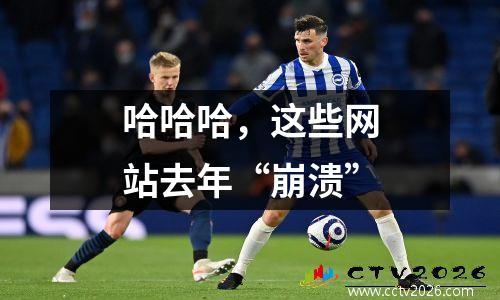 哈哈哈，这些网站去年“崩溃”