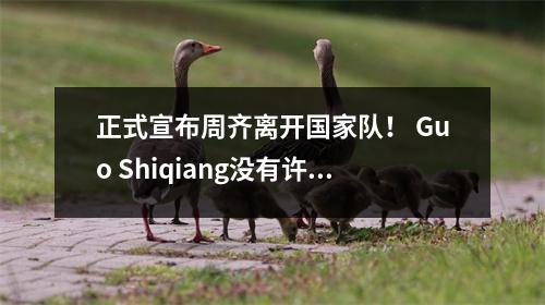 正式宣布周齐离开国家队！ Guo Shiqiang没有许可证，倒计时1个月，这使Yang Hansen痛苦