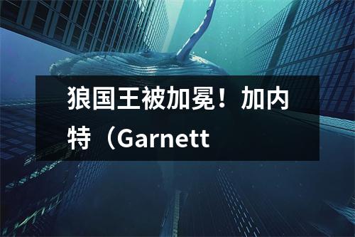 狼国王被加冕！加内特（Garnett