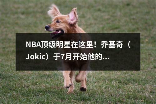 NBA顶级明星在这里！乔基奇（Jokic）于7月开始他的中国旅行，Shijiazhuang粉丝：终于轮到我们了