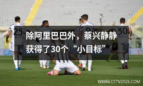 除阿里巴巴外，蔡兴静静获得了30个“小目标”