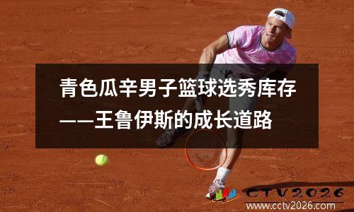 青色瓜辛男子篮球选秀库存——王鲁伊斯的成长道路