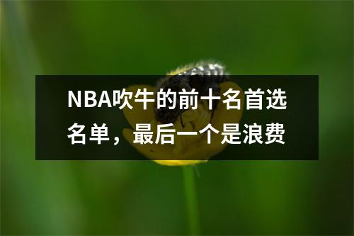 NBA吹牛的前十名首选名单，最后一个是浪费