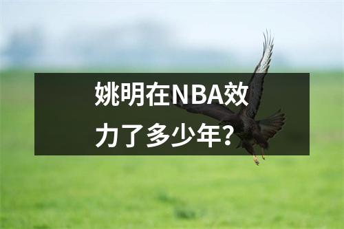 姚明在NBA效力了多少年？