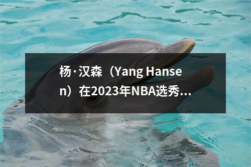 杨·汉森（Yang Hansen）在2023年NBA选秀之夜的越野开拓者意外选择的背后