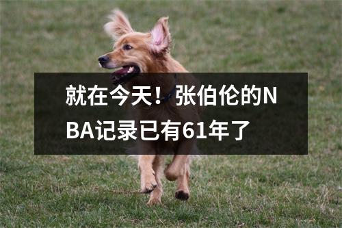就在今天！张伯伦的NBA记录已有61年了