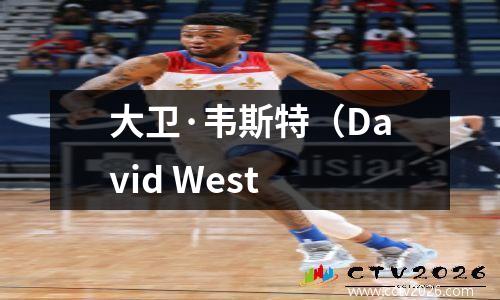 大卫·韦斯特（David West