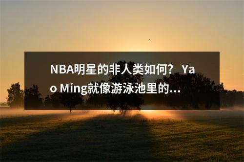 NBA明星的非人类如何？ Yao Ming就像游泳池里的Thanos一样，O'Fat使Johnson成为小鸟