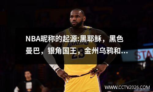 NBA昵称的起源:黑耶稣，黑色曼巴，银角国王，金州乌鸦和承包商！