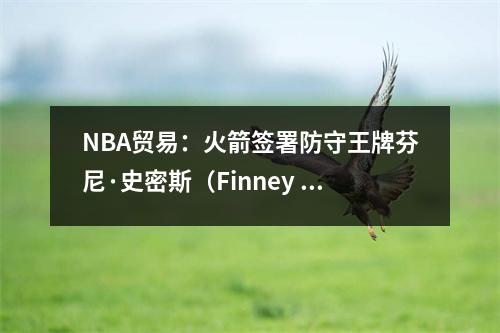 NBA贸易：火箭签署防守王牌芬尼·史密斯（Finney Smith），5300万人开始了重建的新篇章！