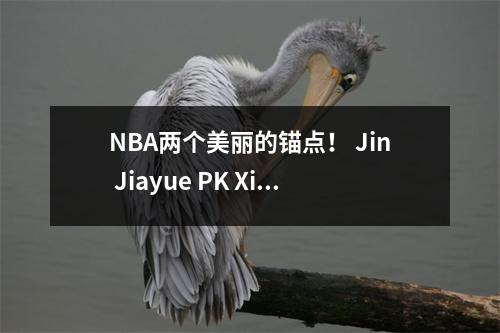 NBA两个美丽的锚点！ Jin Jiayue PK Xiaoqi，粉丝由于她而被迫留在现场广播室