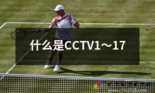 什么是CCTV1〜17