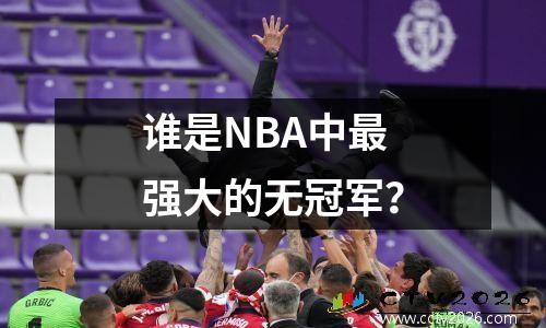 谁是NBA中最强大的无冠军？