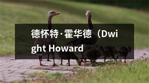 德怀特·霍华德（Dwight Howard
