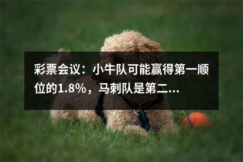 彩票会议：小牛队可能赢得第一顺位的1.8％，马刺队是第二名的76人队