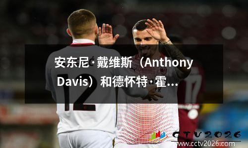 安东尼·戴维斯（Anthony Davis）和德怀特·霍华德（Dwight Howard）荣誉比较