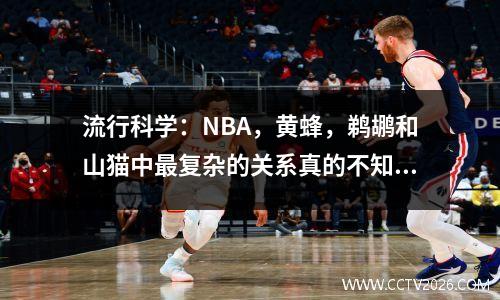 流行科学：NBA，黄蜂，鹈鹕和山猫中最复杂的关系真的不知道他们在做什么