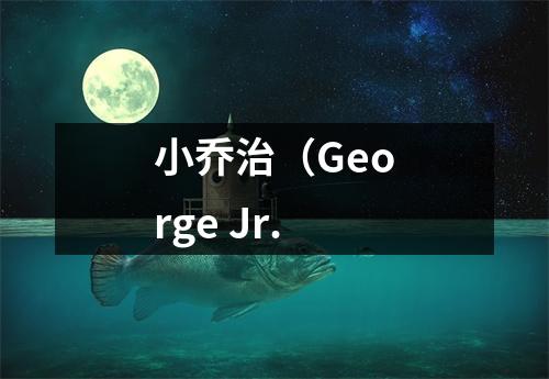 小乔治（George Jr.