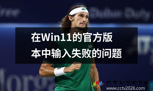 在Win11的官方版本中输入失败的问题