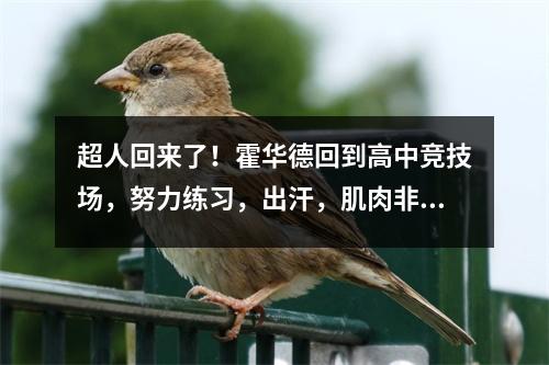 超人回来了！霍华德回到高中竞技场，努力练习，出汗，肌肉非常引人注目