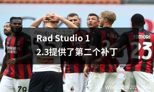 Rad Studio 12.3提供了第二个补丁