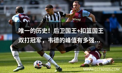唯一的历史！后卫国王+扣篮国王双打冠军，韦德的峰值有多强？