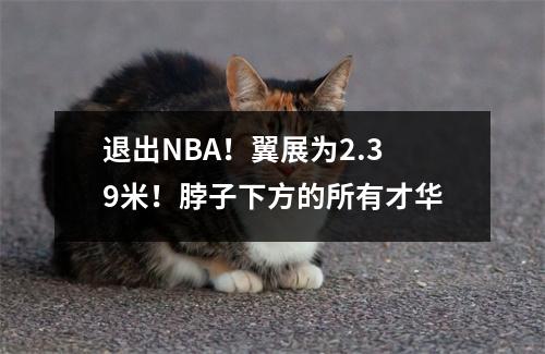退出NBA！翼展为2.39米！脖子下方的所有才华